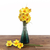 Narcissus