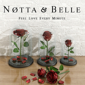 Roses Notta & Belle