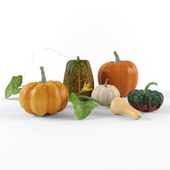 Pumpkin set