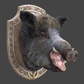 A wild boar