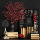 Coral Set 2