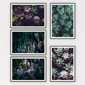 Set of paintings 7
