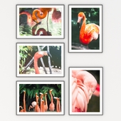 Set of paintings 8
