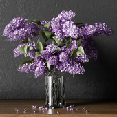 PLANT_004