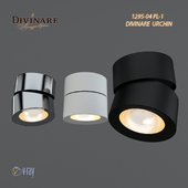 Divinare Urchin