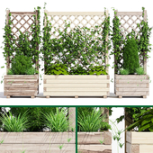 Planter with lattice