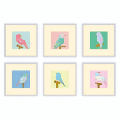 Bright Birds