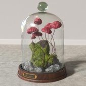 Marasmius_Florarium