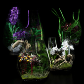 Terrarium vases with Orchids