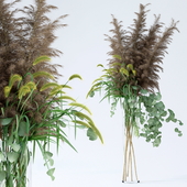 Pennisetum & Pampas grass & Eucalyptus