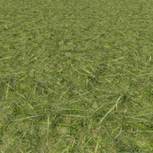 Grass 2