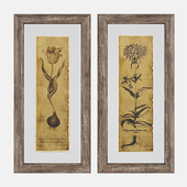 Blossom Sketch Framed Prints by Birch Lane