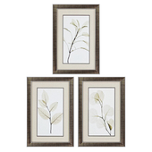 Sage Salal Eucalypt 3 Piece Framed Graphic Art Set by Propac Images