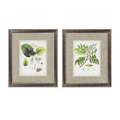 &#39;East Indian Plants&#39; 2 Piece Framed Graphic Art Set by Propac Images