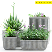 PLANTS 209