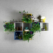 Wall plants with storage