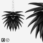 Jeremy Cole Aloe Blossom