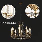 Candelia_Chandelier