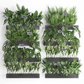 Collection of plants vertical gardening in wooden wall-mounted black pots shelves with monstera, areca palm, bush. Set 41.