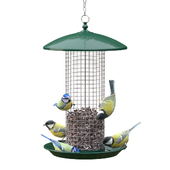 Great Tits and Blue Tits at bird feeder
