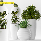 plants 262