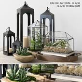 Pottery barn GLASS TERRARIUM