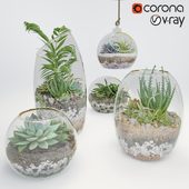 Terrarium set