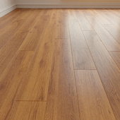 Laminate. Parquet. Natural wood. 243