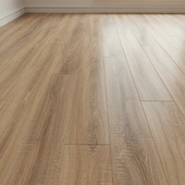 Laminate. Parquet. Natural wood. 245