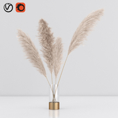 a bunch of pampas in vase 01