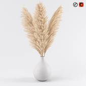 Pampas in Vase 02