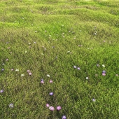 arch_grass 05