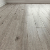 Laminate. Parquet. Natural wood. 273