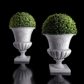 plant collection 04