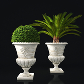 plant collection 05