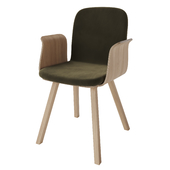 Palm dining chair with armrest and upholstered seat