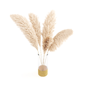 bouquet of pampas vol.01
