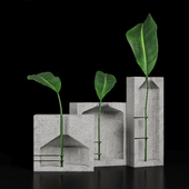 Decore Plant