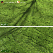 lawn grass