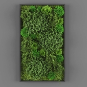 Vertical garden 102