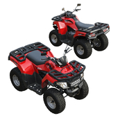 Квадроцикл Wels ATV Bison / Loncin