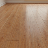 Laminate. Parquet. 170