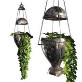 ivy planter