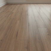 Laminate. Parquet. 180