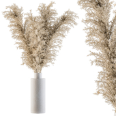 Dry plants 41 - Dried Plant Pampas