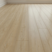 Laminate. Parquet. Board. sixteen