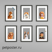 Постеры PetPoster