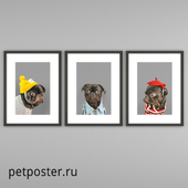 Постеры PetPoster