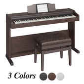 Roland RP 501 R