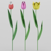 Metallic tulips
